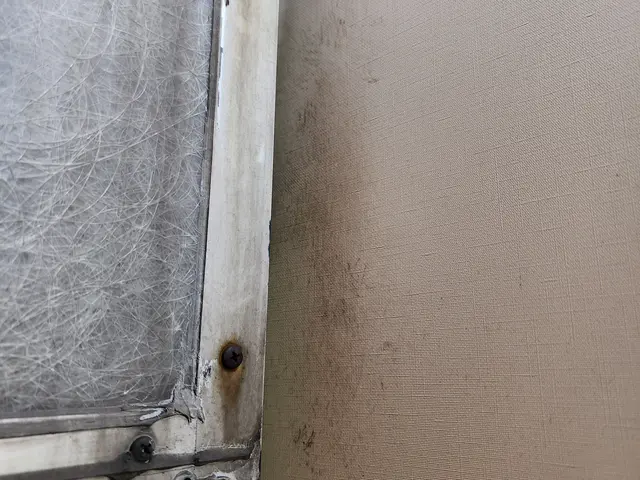 厄介なネズミは弊社の定額プランで安価に確実に対策をしましょう！サービスの画像