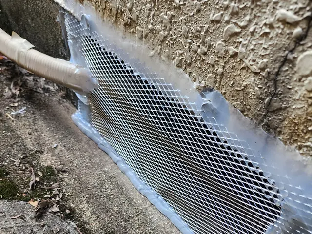 厄介なネズミは弊社の定額プランで安価に確実に対策をしましょう！サービスの画像