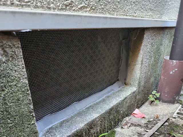 厄介なネズミは弊社の定額プランで安価に確実に対策をしましょう！サービスの画像