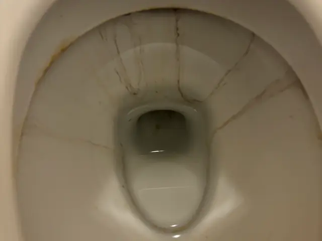 トイレクリーニング｜尿石・黒ずみ・ニオイを徹底除去サービスの画像