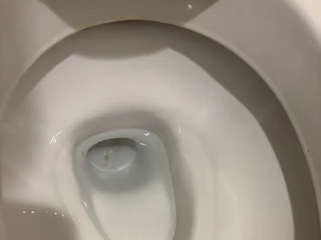 トイレクリーニング｜尿石・黒ずみ・ニオイを徹底除去サービスの画像