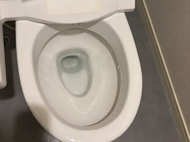 トイレクリーニング｜尿石・黒ずみ・ニオイを徹底除去サービスの画像