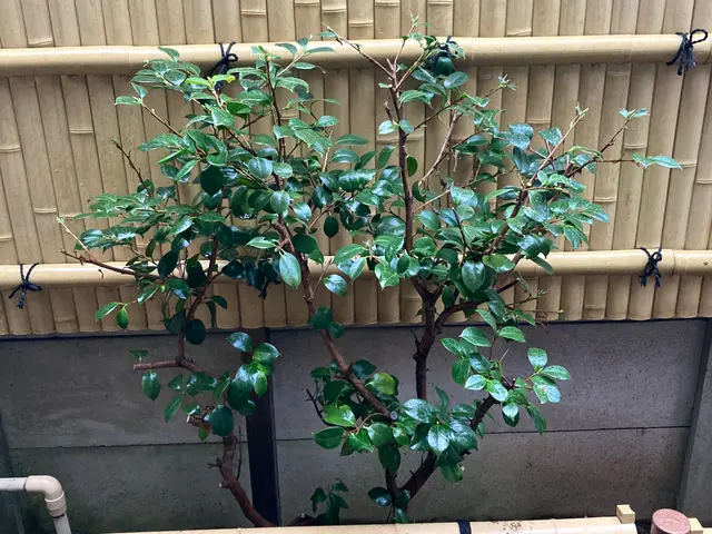 【作業外注一切なし！】お客様の立場になって丁寧に作業します！サービスの画像