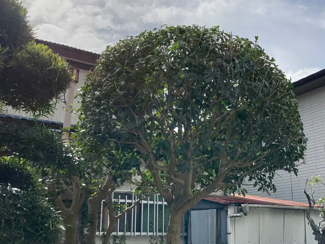 【作業外注一切なし！】お客様の立場になって丁寧に作業します！サービスの画像