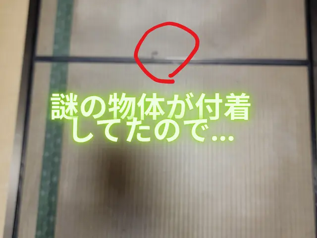 【岡山市東区発！】網戸の破れも心の破れもまとめて張り替えます♬サービスの画像