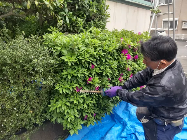 【業歴40年二代目店長】お庭と植木に合わせたお手入れとアドバイスいたしますサービスの画像