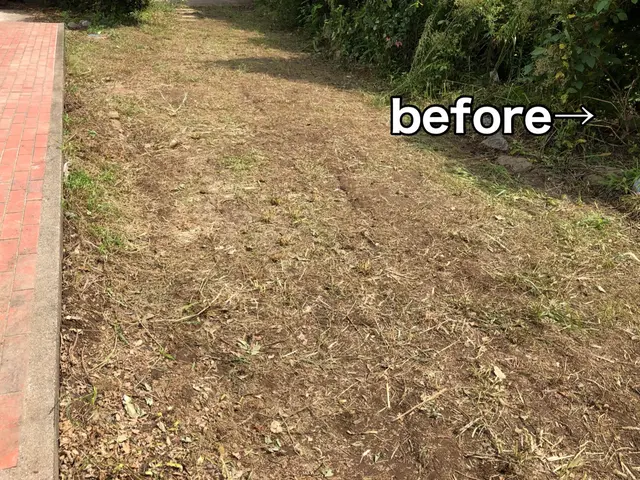 ◆緑豊かな雑草対策をしませんか◆◎作業のみでも対応します◎【速い・適正・綺麗】サービスの画像