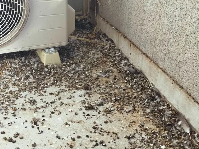 プロの技術でご満足いただけるように心を込めて作業いたしますサービスの画像