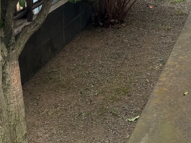 プロの技術でご満足いただけるように心を込めて作業いたします！女性スタッフ同行可サービスの画像