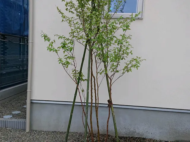 ☆業歴20年　一級造園施工管理技士が対応！【爽やかな理想のお庭を造ります！】☆サービスの画像