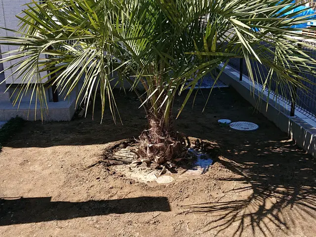 ☆業歴20年　一級造園施工管理技士が対応！【爽やかな理想のお庭を造ります！】☆サービスの画像