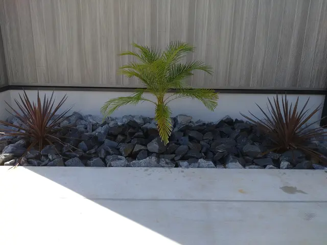 ☆業歴20年　一級造園施工管理技士が対応！【爽やかな理想のお庭を造ります！】☆サービスの画像