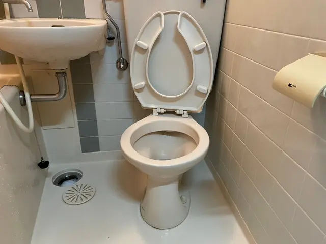 ☆くらしのマーケット出店記念☆お掃除が大好き！ハウスクリーニングの平井です！サービスの画像