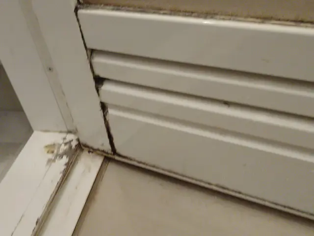 浴室ピカピカ　夫婦でお伺い　オプションで防カビコーティングサービスの画像