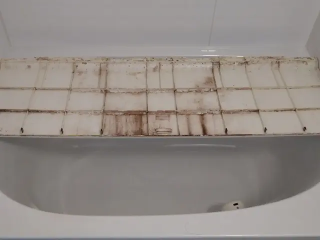 浴室ピカピカ　夫婦でお伺い　オプションで防カビコーティングサービスの画像