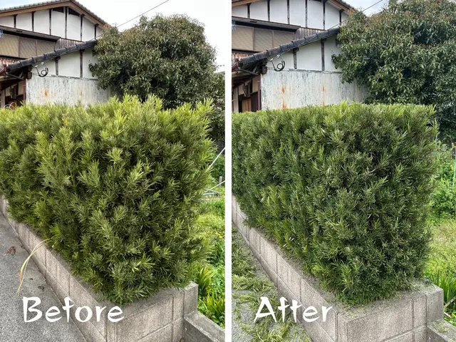 福岡県最安値に挑戦中！庭木１本〜OK！満足のいく作業を必ずお約束します！サービスの画像