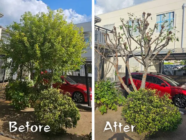 福岡県最安値に挑戦中！庭木１本〜OK！満足のいく作業を必ずお約束します！サービスの画像