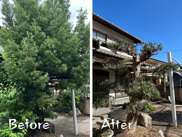福岡県最安値に挑戦中！庭木１本〜OK！満足のいく作業を必ずお約束します！サービスの画像