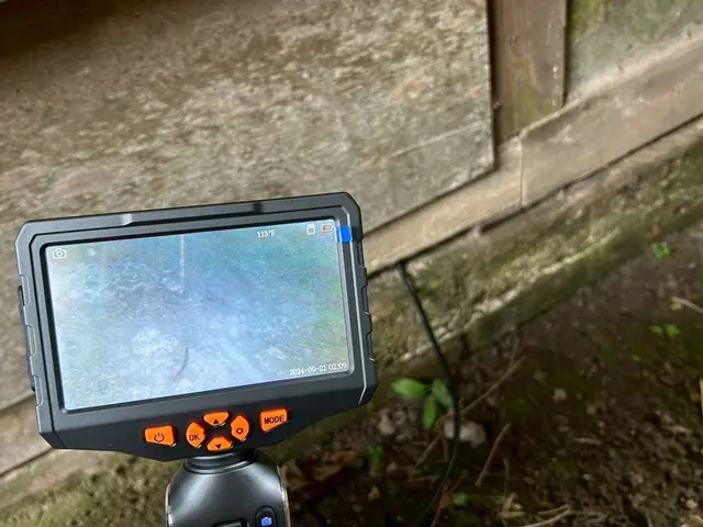 【ネズミ駆除の匠】駆除後も安心のサポートあり◎職人がお伺いします。サービスの画像