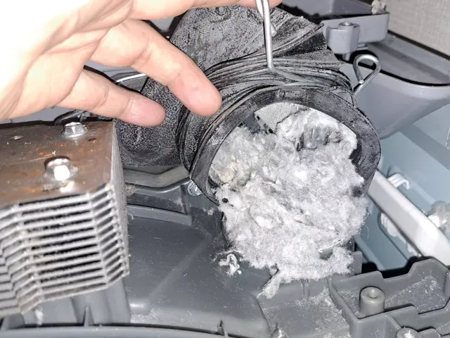 乾燥時間が以前より長くなった、かび臭い等、クリーニングが解決策かもしれませんサービスの画像