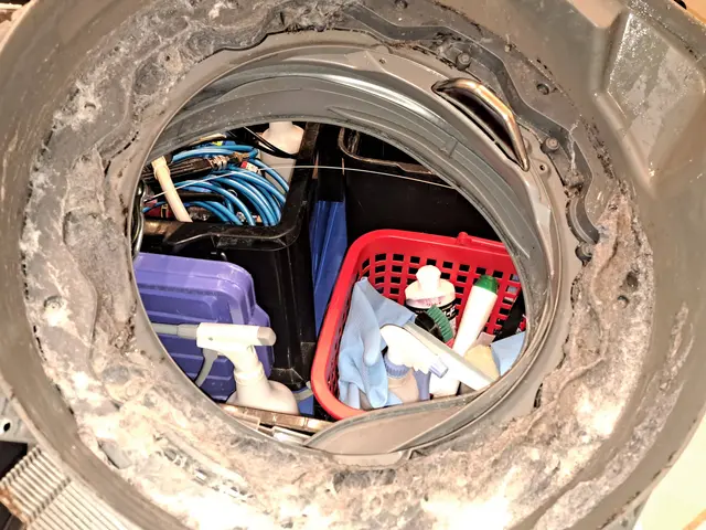 乾燥時間が以前より長くなった、かび臭い等、クリーニングが解決策かもしれませんサービスの画像