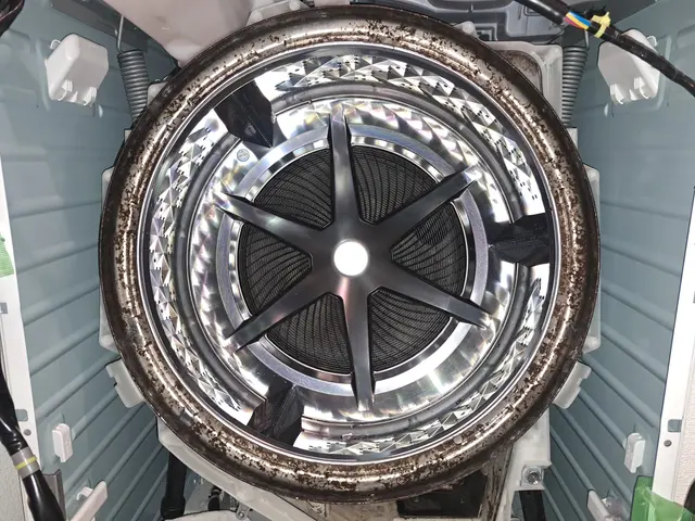 乾燥時間が以前より長くなった、かび臭い等、クリーニングが解決策かもしれませんサービスの画像