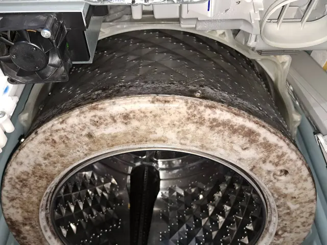 乾燥時間が以前より長くなった、かび臭い等、クリーニングが解決策かもしれませんサービスの画像