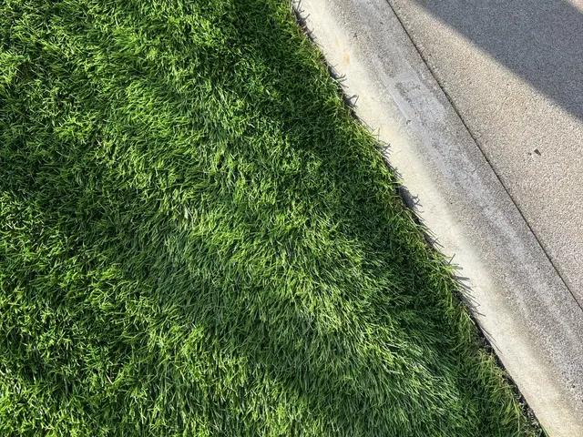 「美しく長持ち！快適な人工芝で理想の庭へ」サービスの画像