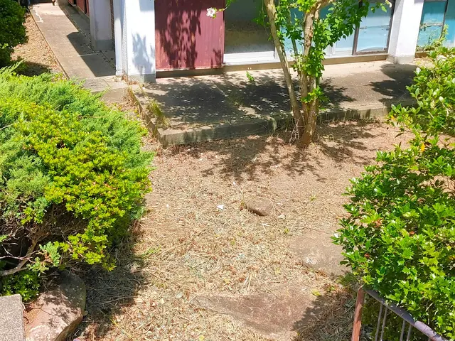 庭木の剪定サービスの画像