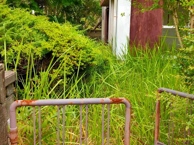 庭木の剪定サービスの画像