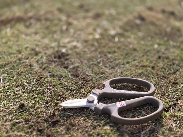 お見積り無料ですので、まずはお気軽にお問い合わせください❀サービスの画像