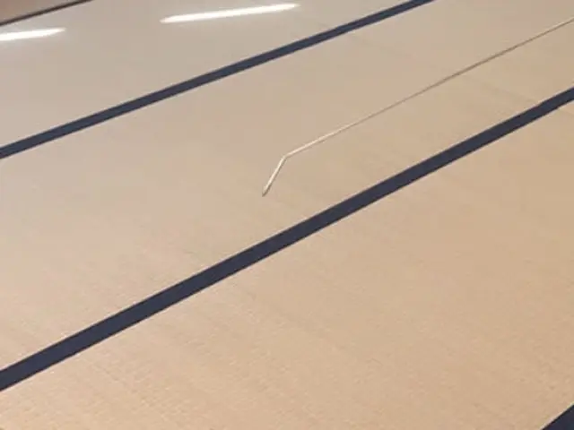 予防付き◎薬剤と高音スチームのダブルパンチでしっかり駆除します◎女性スタッフ同行サービスの画像