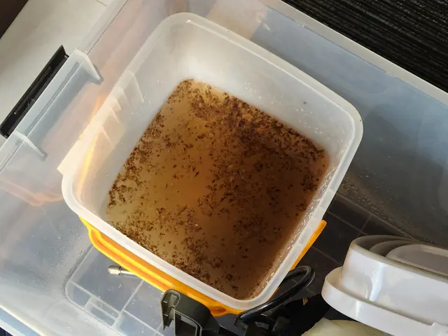 ◎年中無休◎プロの技術でご満足いただけるように心を込めて作業いたしますサービスの画像