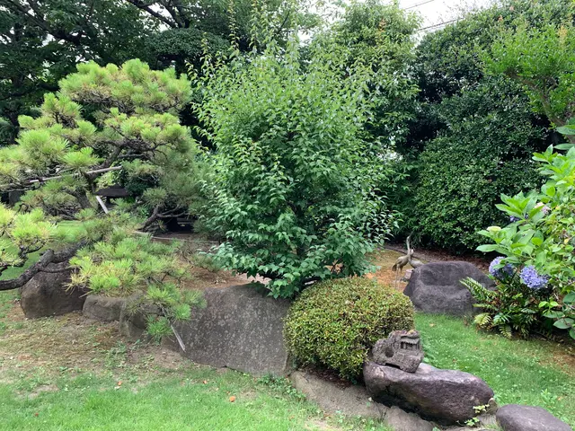 《有料P代全額負担》お庭のお困りごとをスッキリ解決！仕上がり保証ありで安心◎サービスの画像