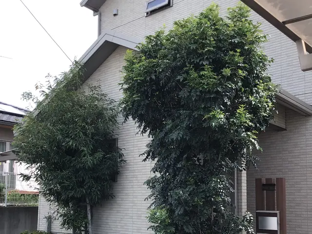 土日祝も作業ok。PayPay決済もok。空き日程無くてもご相談下さい。サービスの画像