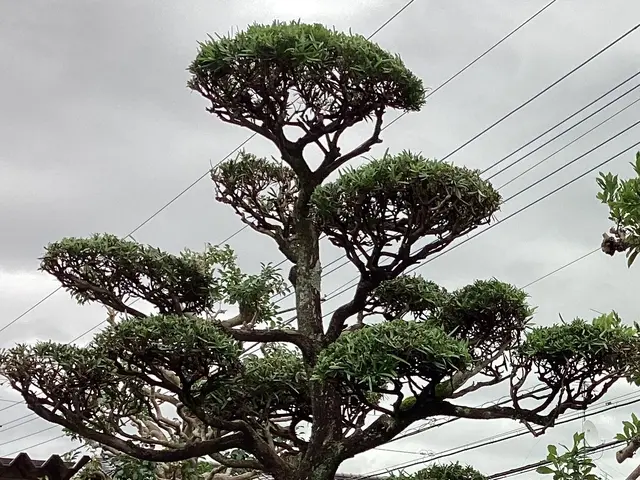 土日祝も作業ok。PayPay決済もok。空き日程無くてもご相談下さい。サービスの画像