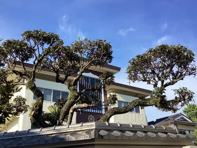 土日祝も作業ok。PayPay決済もok。空き日程無くてもご相談下さい。サービスの画像