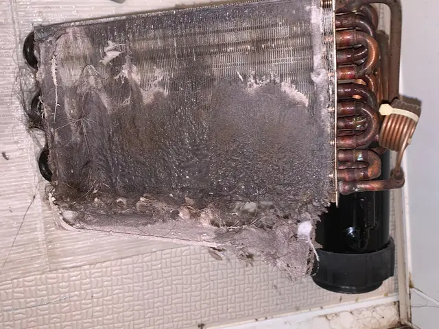 ◎お得な防カビコート無料キャンペーン◎安心の家電メーカー出身★乾燥不良・臭い改善サービスの画像