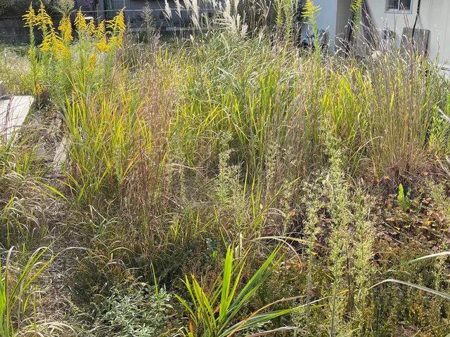 見積もり無料！現地立ち会い不要！遠方でも可能！まずはご相談下さいサービスの画像