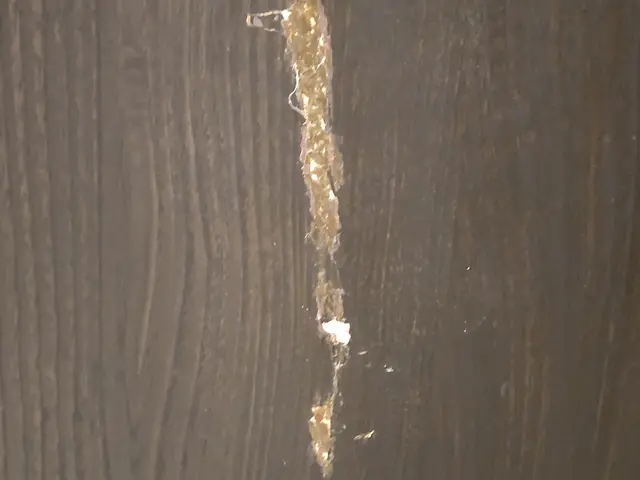 【親子で伺います】均一品質の技術と迅速対応でお客様満足度向上を実現サービスの画像