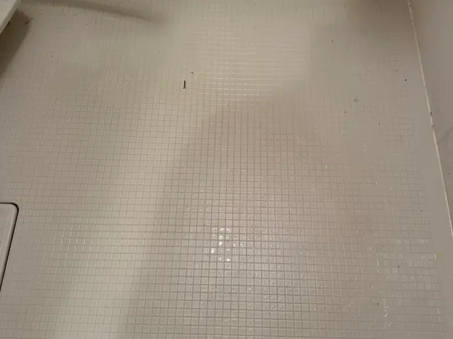 ★接客業経験豊富で清掃歴10年★丁寧な接客とプロの清掃でご要望にお応え致しますサービスの画像