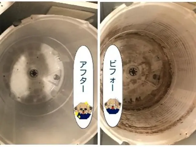 カビだらけの服、着ますか？洗濯機をキレイに洗濯しましょサービスの画像