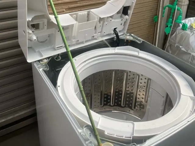 カビだらけの服、着ますか？洗濯機をキレイに洗濯しましょサービスの画像