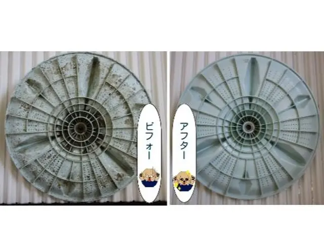 カビだらけの服、着ますか？洗濯機をキレイに洗濯しましょサービスの画像