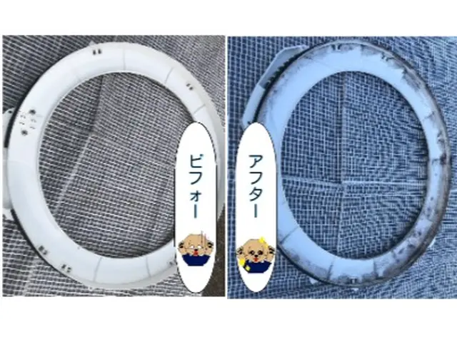 カビだらけの服、着ますか？洗濯機をキレイに洗濯しましょサービスの画像