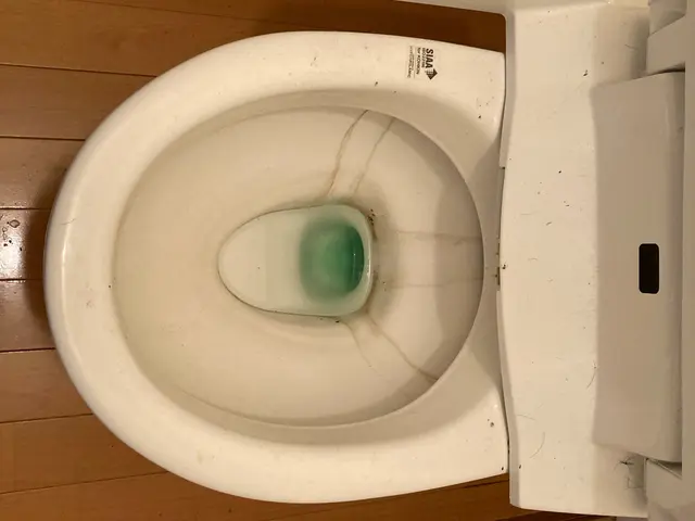 ☆事前相談で安心丁寧施工☆タンク内漂白消毒☆不具合点検補修可サービスの画像