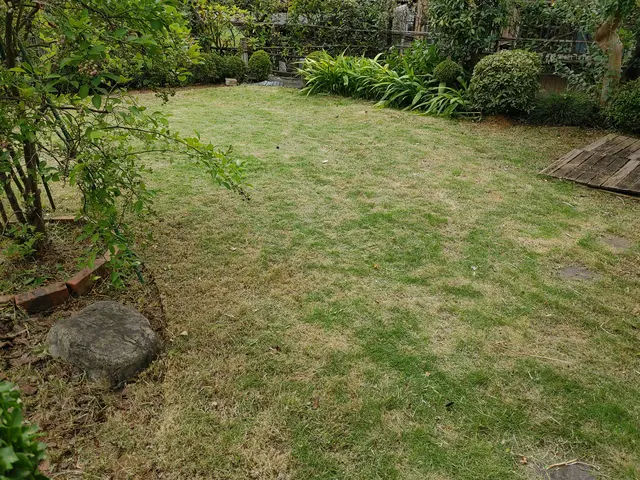 【荒川区】損害保険加入済み！御客様の後納得のいく庭作りを目指しております！サービスの画像