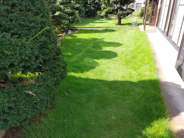 【荒川区】損害保険加入済み！御客様の後納得のいく庭作りを目指しております！サービスの画像