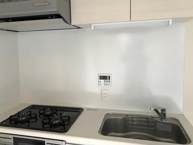 ガス台、シンク、蛇口、排水口、照明、棚、壁面までピカピカに仕上げます！サービスの画像