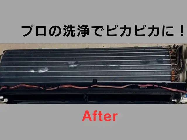 ❀̥カビ、臭い専門店❀̥、室内を健康な空気にし、喉に優しいエアコンで暖房をサービスの画像